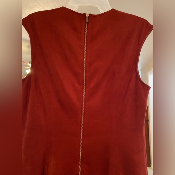 The Limited suede dress - Medium - Picture 4 of 5